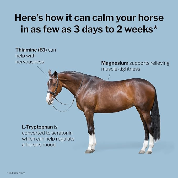 Formula 707 Calming Equine Supplement 5LB Bag – Anxiety Relief and Enhanced Focus for Horses – L-Tryptophan, Thiamine & Magnesium