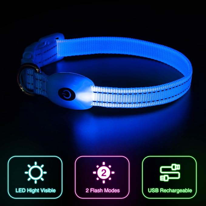 YFbrite LED Dog Collar XS, Lightweight Cat Collar Light, Comfortable Light Up Puppy Collars, USB Rechargeable Adjustable Puppy Walking Safety Light (Blue, XS)