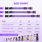RUXAN Light Up Dog Collar,Dog Lights for Night Walking,LED Collars Waterproof,Glow Dog Collars Rechargeable,Dog Collars Light for Small,Medium,Large Dogs (Large,Purple)