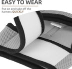 PUPTECK Soft Mesh Cat Vest Harness and Leash Set Puppy Padded Pet Harnesses Escape Proof for Cats Small Dogs Rabbits Bunny