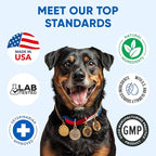 Omega 3 Fish Oil for Dogs Chews - Dog Skin & Coat Supplement for Itch Relief, Hot Spot Treatment - USA Product - Salmon Oil for Dogs Itching Skin Relief, Shedding, Hip & Joint Health - 120 Soft Treats