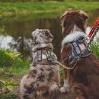 Auroth Tactical Dog Harness for Large Dogs No Pull Adjustable Pet Harness Reflective K9 Working Training Easy Control Pet Vest Military Service Dog Harnesses Grey L