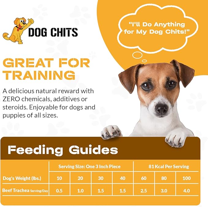 Dog Chits Beef Trachea Chews for Dogs – All-Natural,1 Pound, Healthy Treats for Joint Support, Digestible Rawhide-Free Supplement for Canine Chewers, Dehydrated, Large & Small Dogs, 3-4 Inch Rolls