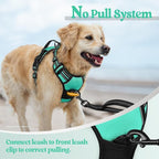 rabbitgoo Dog Harness No Pull with 2 Leash Clips, Adjustable Soft Padded, Reflective Oxford No Choke Pet Vest with Easy Control Handle for Large Dogs, Turquoise, L
