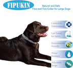 Natural & Safe Flea and Tick Collar for Large Dogs,Safe and Effective Flea and Tick Repellent, 8 Months Protection, Waterproof, Free Comb and Tick Removal Tool, Flea Repellent Drops, 27.5 inch,1-Pack