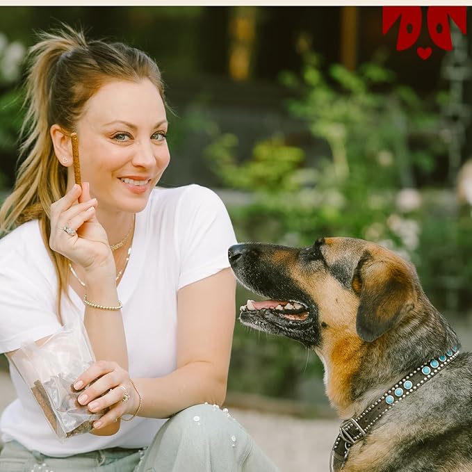 OH NORMAN! Soft Beef Jerky Dog Treats by Kaley Cuoco, Healthy Dog Treats, All Life Stages and Breeds, Air Dried, Ethically Sourced Free Range Beef,6 Oz