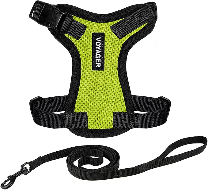 Voyager Escape-Proof Step-in Lock Cat Harness & 5ft Neoprene-Handle Leash Set All-Weather Mesh with Reflective Stitching for Small to Large Cats by Best Pet Supplies, Lime Green/Black Trim, S
