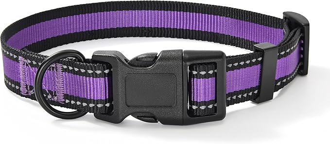 Mile High Life Dog Collar | Nylon Reflective Dog Collars | Light Weight Puppy Collars | Purple Dog Collars for Small Dogs (Purple, X-Small)