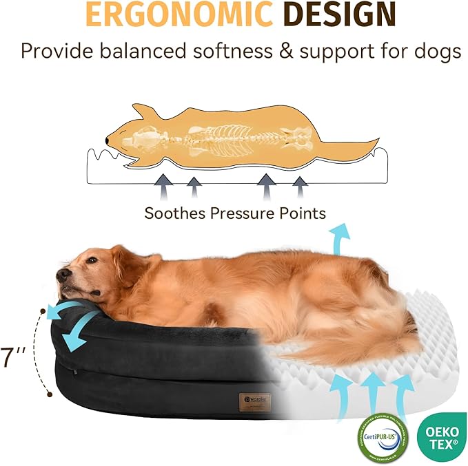 Orthopedic Washable Large Dog Bed: Memory Foam Waterproof Pet Bed with Bolsters - Removable Orthopedic Cover for Medium Large Sized Dog Bed - Non-Slip Bottom - Black