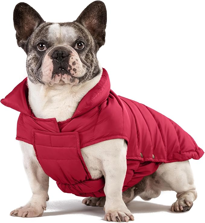 SPACE LION Puffer Jacket, Down Winter Coat, Waterproof, Windproof, Lightweight Jacket, Adjustable Fit for Medium, Large Dogs(Red,XL)