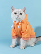 QWINEE Basic Dog Hoodie Sweatshirt Puppy Sweater Warm Cat Costumes Pet Clothes for Chihuahua Puppy Kitten Small Medium Dogs Orange Large
