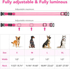Vizpet LED Dog Collar, Light Up Dog Collar Adjustable USB Rechargeable Super Bright Safety Light Glowing Collars for Dogs (X-Large, Pink)