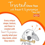 Nylabone Customer Favorites Power Chew Toy Bundle for Dogs, Indestructible Dog Toys for Aggressive Chewers, Pack of 3 Dog Toys, Flavor Medley, Small Dogs - Up to 25 lbs, 3 Pack