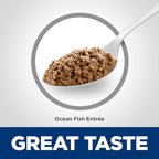 Hill's Science Diet Adult 1-6, Adult 1-6 Premium Nutrition, Wet Cat Food, Ocean Fish Minced, 2.9 oz Can, Case of 24