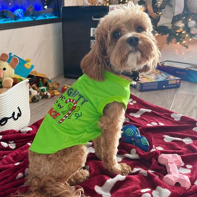 Green Halloween Dog Costume,Christmas Dog Shirt for Pets,Cats Dogs Christmas Pajamas Clothes Outfit for Small Medium Large Pet (Small)