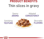 Royal Canin Feline Health Nutrition Spayed/Neutered Adult Thin Slices in Gravy Cat Food, 3 oz (Pack of 24)