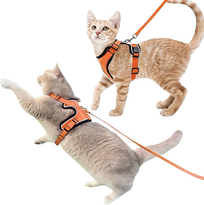 Luxelle 2 Pack Escape-Proof Cat Harness and Leash Set for Walking – Adjustable No Pull Soft Vest with Easy-Wear Buckle, Reflective Straps, Breathable Mesh – Outdoor Travel Harness for Cats & Kittens