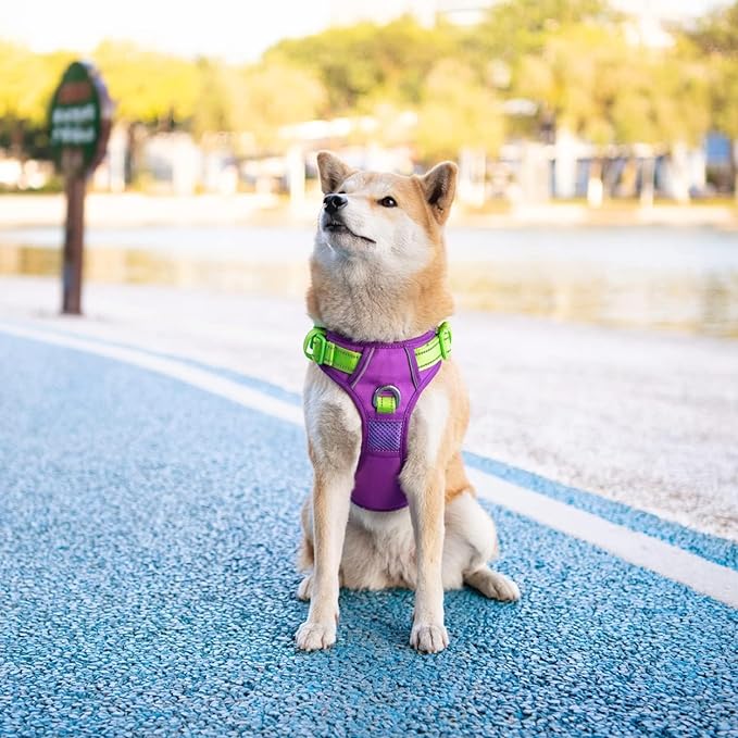 PHOEPET No Pull Dog Harness, Unique Colors Reflective Adjustable Dog Vest, with Soft Training Handle Metal Clips for Small Medium Large Dogs (Purple Base & Green Straps,S)