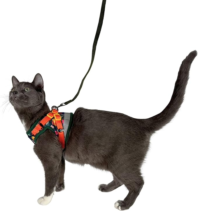 Travel Cat Harness and Leash Set - Adjustable Fit Mesh Cat Harness and Reflective Strap - Comfort Walking Vest for Kitten for Outdoor Walking, Hiking (XS, Hawaiian)