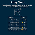 Ruffwear, Web Master, Multi-Use Support Dog Harness, Hiking and Trail Running, Service and Working, Everyday Wear, Red Canyon, XX-Small