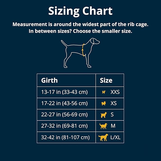 Ruffwear, Web Master, Multi-Use Support Dog Harness, Hiking and Trail Running, Service and Working, Everyday Wear, River Rock Green, X-Small