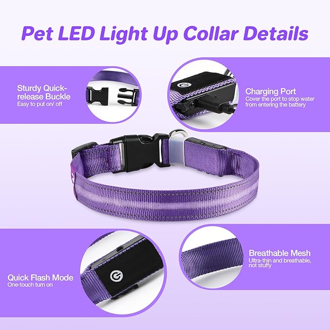 RUXAN Light Up Dog Collar,Dog Lights for Night Walking,LED Collars Waterproof,Glow Dog Collars Rechargeable,Glow in The Dark Dog Collar,Dog Collars Light for Small,Medium,Large Dogs (Medium,Purple)