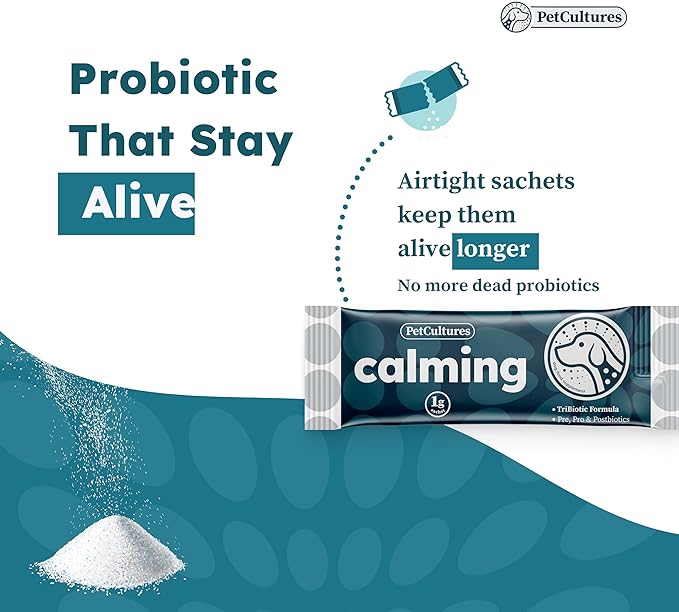 Calming Synbiotic Formula - with L-Theanine, L-Tryptophan, Probiotics, and B-Vitamins in 30 Packs