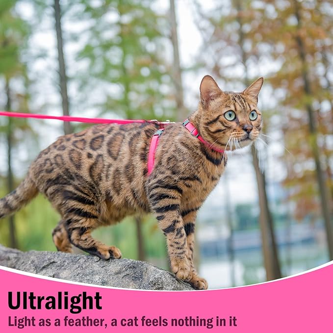 PUPTECK Adjustable Cat Harness and Leash Set Escape Proof Kitten Strap Collar for Walking Travel, Hot Pink