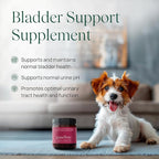 pawTree Bladder Support Plus for Dogs and Cats - Bladder & Urinary Tract Wellness Supplement - with D-Mannose, Cranberry, Glucosamine and Marshmallow Root to Support Bladder Health (Large)