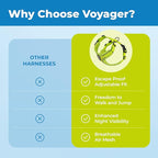 Voyager Escape-Proof Step-in Lock Cat Harness & 5ft Neoprene-Handle Leash Set All-Weather Mesh with Reflective Stitching for Small to Large Cats by Best Pet Supplies, Lime (327), XXS