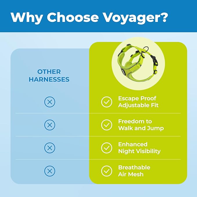 Voyager Escape-Proof Step-in Lock Cat Harness & 5ft Neoprene-Handle Leash Set All-Weather Mesh with Reflective Stitching for Small to Large Cats by Best Pet Supplies, Lime (327), XXS