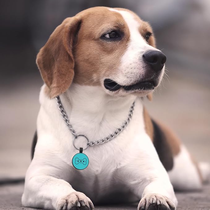 MYLUCKYTAG Silent Silicone QR Code Dog Tags - Scan QR for Instant Pet Location Alerts