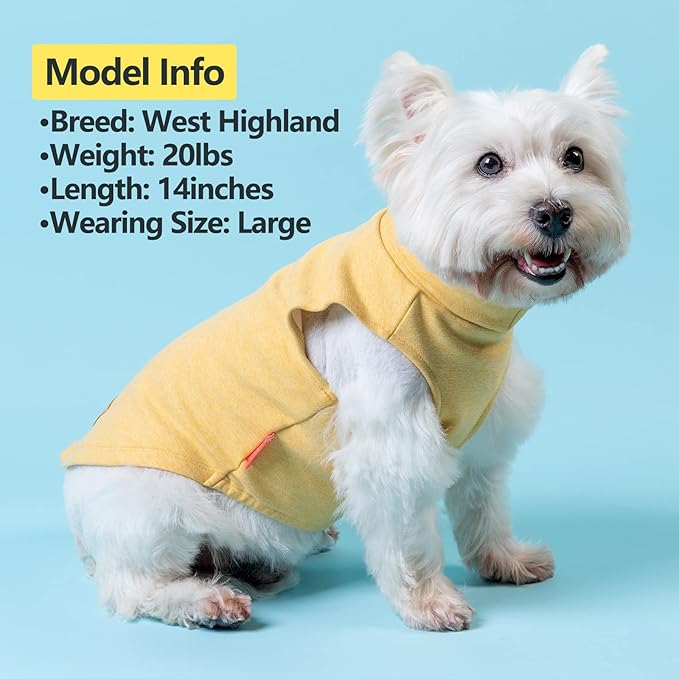 KYEESE 2Pack Dog Sweater Soft Dog Sweatshirt Pullover Pet Sweaters for Medium Dogs Male Warm Pet Coats Stretchy Dachshund Clothes Turtleneck Dogs Clothes