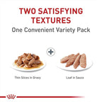 Royal Canin Feline Care Nutrition Digestive Care Adult Thin Slices in Gravy and Loaf in Sauce Cat Food, 3 oz (Pack of 12)