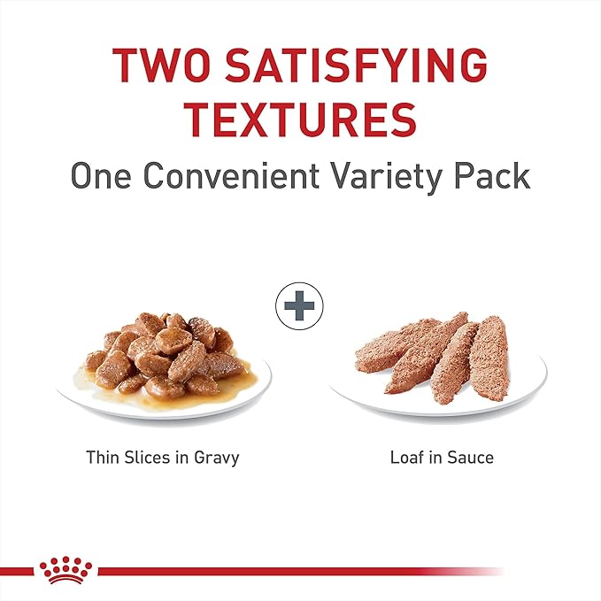 Royal Canin Feline Care Nutrition Digestive Care Adult Thin Slices in Gravy and Loaf in Sauce Cat Food, 3 oz (Pack of 12)