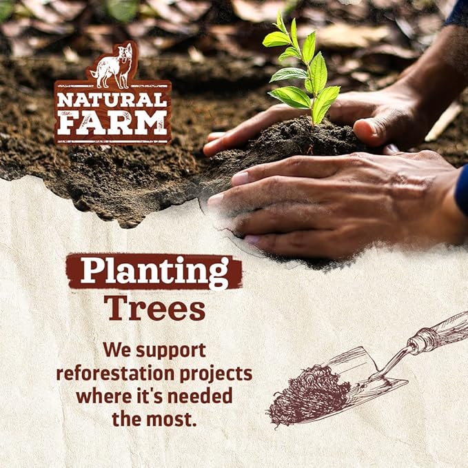 Natural Farm Odor-Free Jumbo Bully Sticks, (6 Inch, 2 Pack), Extra-Thick Chews for Dogs, Fully Digestible 100% Beef Treats, Great for Dental Health, Keep Your Dog Busy with 50% Longer Lasting Chews