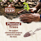 Natural Farm Jumbo Bully Sticks (6 Inch, 4 Pack), Odor Free, Extra-Thick Dog Chews - Fully Digestible 100% Beef Treats, Supports Dental Health, Keep Your Dog Busy with 50% Longer Lasting Chews