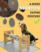 Elevated Dog Bowls, Adjustable Raised Dog Bowl Stand for Small Size Dogs and Cats, Durable Bamboo Dogs Feeder with 2 Stainless Steel Bowls and Non-Slip Feet, Pet Food Bowl with Mat