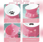 Ceramic Raised Cat Bowl - 5 Inch Tilted Design for Indoor Cats, Anti-Vomiting & Whisker Fatigue Relief, Non-Slip Base, Pink