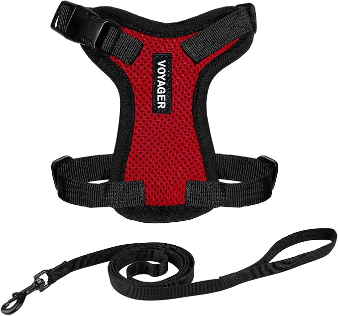 Voyager Escape-Proof Step-in Lock Cat Harness & 5ft Neoprene-Handle Leash Set All-Weather Mesh with Reflective Stitching for Small to Large Cats by Best Pet Supplies, Red/Black Trim, S