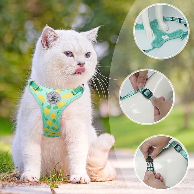 BEAUTYZOO Cat Harness and Leash Set Escape Proof, Medium Cat Vest Harness for Walking, Adjustable Step in Kitten Harnesses for Travel, Soft Lightweight Outdoor Cute Kitten Harnesses, Pineapple M