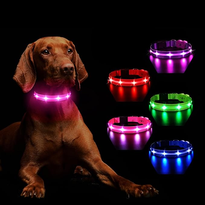 MASBRILL Light Up Dog Collar - RGB LED, Rechargeable, Water-Resistant Glow Up Night Walking Collar for Small to Large Dogs
