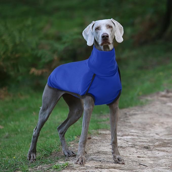 ROZKITCH Dog Winter Coat Soft Pullover Pajamas, Pet Windproof Warm Cold Weather Jacket Vest Cozy Onesie Jumpsuit Apparel Outfit Clothes for Small, Medium, Large Dogs Walking Hiking Travel Sleep Blue