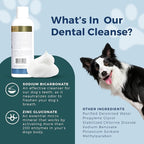 Petscy - Dental Cleanse, All-Natural Cat & Dog Tartar Remover for Teeth, Cat & Dog Water Additive for Dental Care, Suitable for All Ages, Breeds & Sizes, 8 Oz