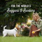 Beg & Barker Pork Jerky for Dogs (4 oz, Pack of 1) - Dog Training Treats - Natural Dog Treats Made in The USA - Grain Free, Diabetic-Friendly, High Protein, Sugar-Free (Pork Dog Jerky)