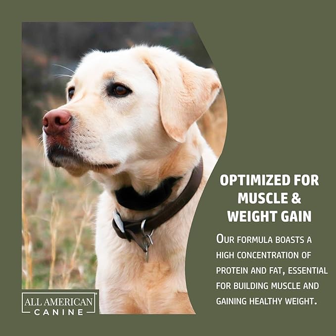 Dog Weight Gainer + Digestive Aid Formula, Natural Health Supplement Food Topper, Weight Gain Supplements for Dogs, & Dog Muscle Builder - 60 Servings