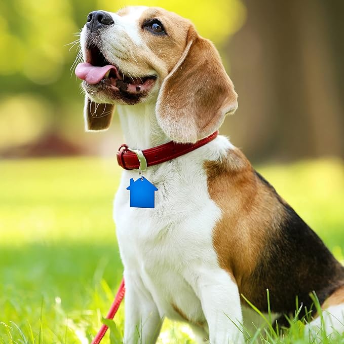 Frienda 48 Pcs Blank Pet ID Tag Colorful Aluminum Dog Cat Badge Blank Round Heart Star Bone House Rectangle Tags with Ring Pet ID Badge Pendant with Hole for Dog Cat Name Phone Number, 6 Styles