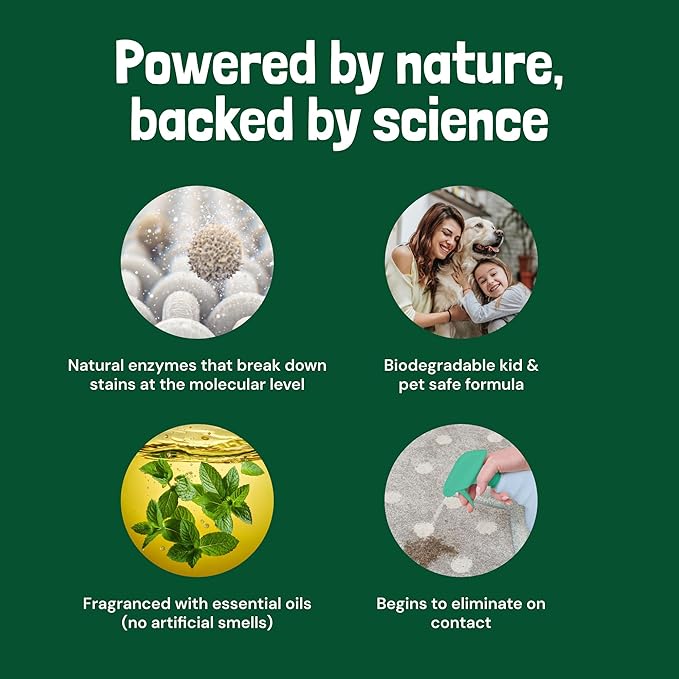 Sunny & Honey Pet Stain & Odor Miracle - 1 Gallon (128 Fl Oz), Spring Mint Scent - Carpet Shampoo, Cat Pee Enzyme Cleaner & Carpet Spot Remover for Upholstery & Mattress