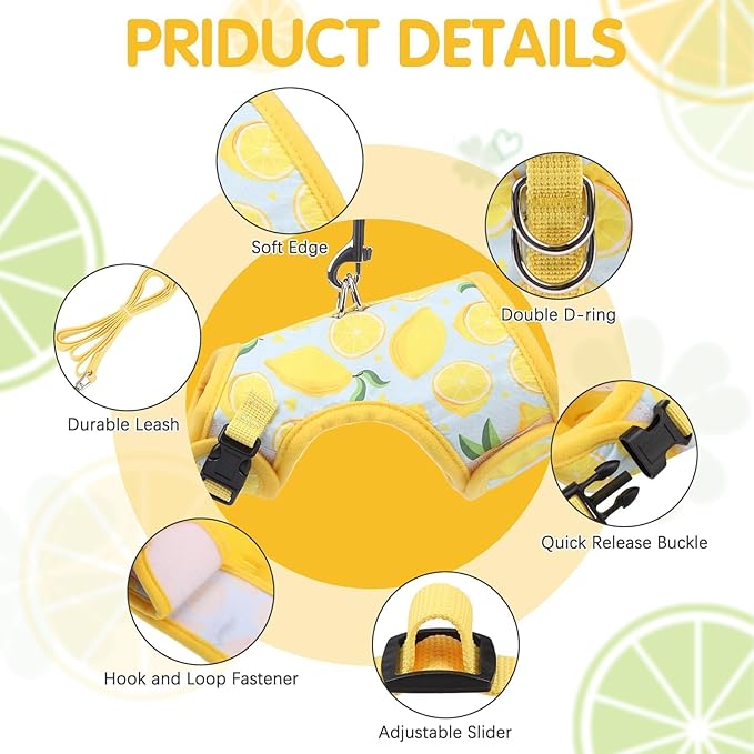 BINGPET Cat Harness and Leash Set Escape Proof for Walking,Step-in Harness with Lightweight Soft Breathable Mesh,Adjustable Easy Control Harness (Sunshine Citrine, L(Chest:12.5-16.5"))
