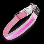 PetIsay LED Dog Collar Metal Buckle - Heavy Duty Light up Collars - Rechargeable IP68 Waterproof - Lighted Dog Collar for Night Walking, Hiking, Camping (Large, Pink)